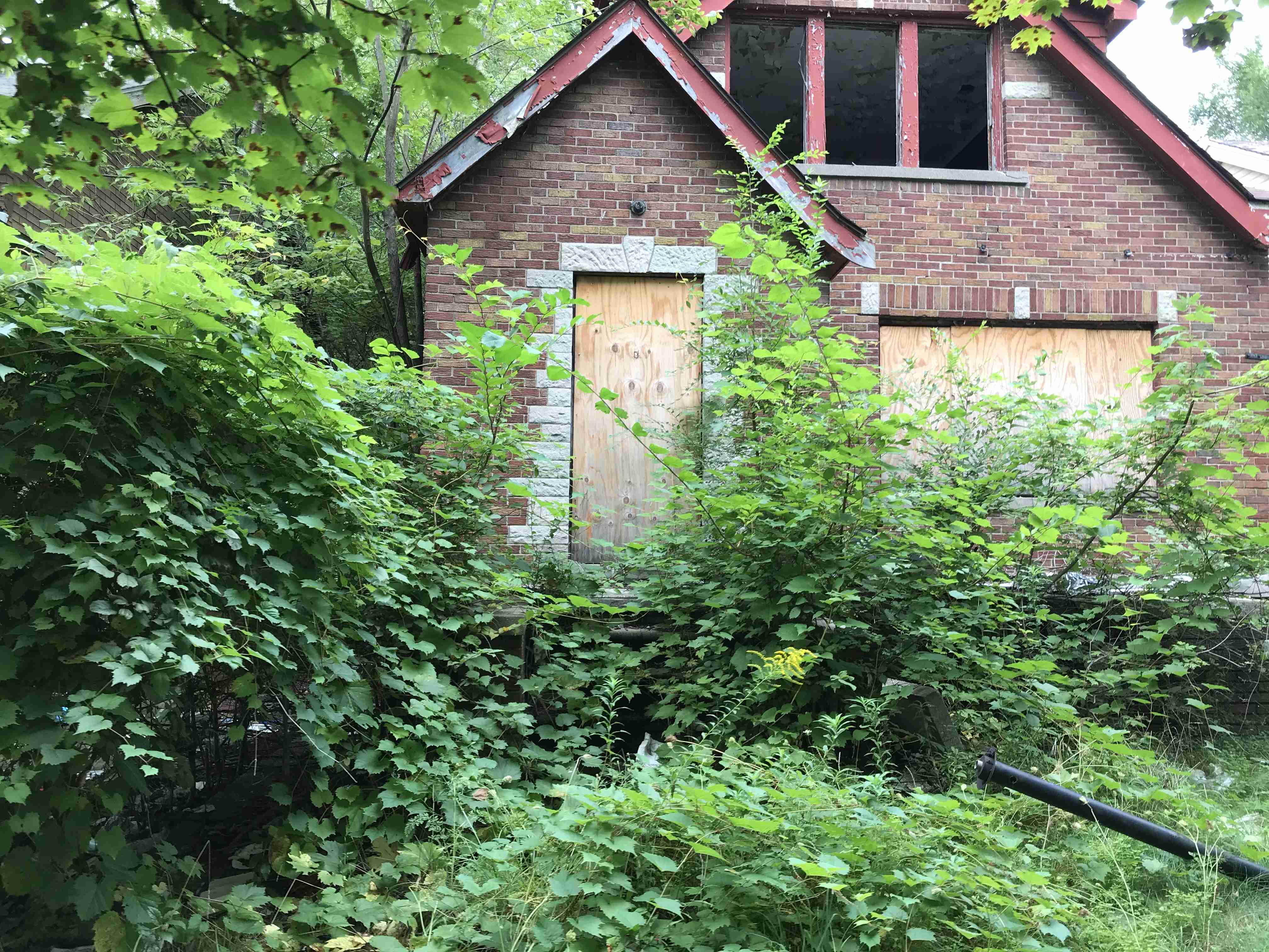 Photo Sep 10, 2 05 49 PM.jpg